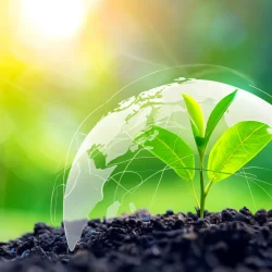Green plant shooting with globe surrounding it